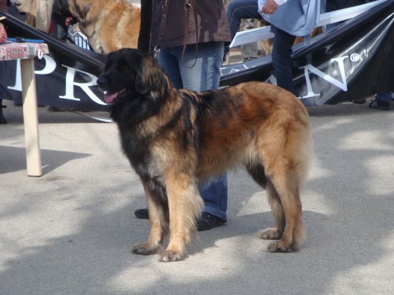 Ewen de 1 à 2 ans