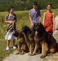 vacances avec les 4 etincelles