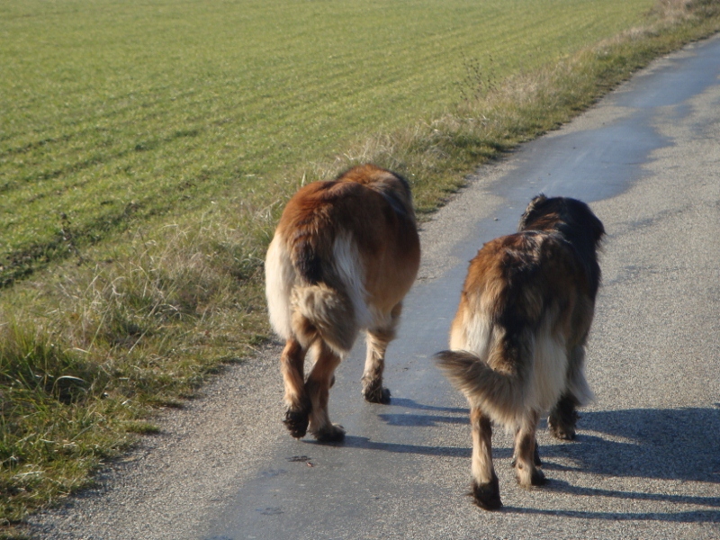 Ewen et Daisy